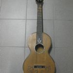 539 5066 Gitarr